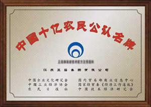 正昌-中国公认名牌称号